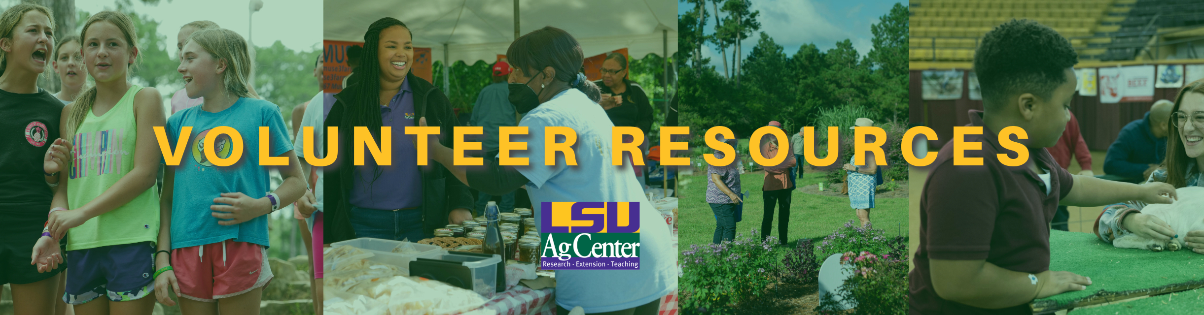 Volunteer Resources Banner.jpeg thumbnail