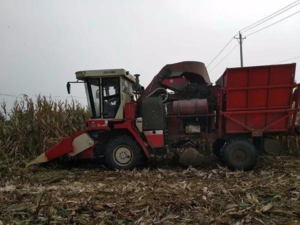 1541058557828835.jpg 微信图片_20181101154354.jpg