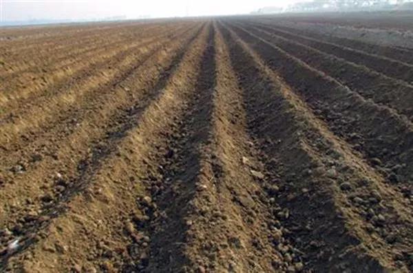 1541058595103796.jpg 微信图片_20181101154404.jpg