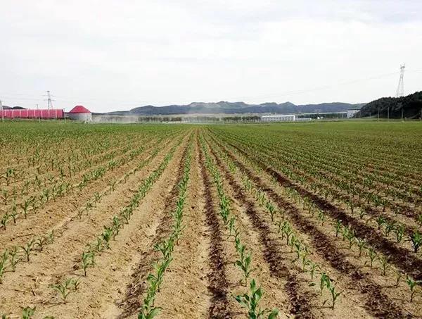 1557110354.jpg 微信图片_20190506103802.jpg