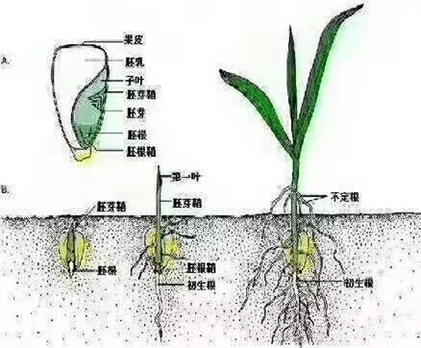 1558337725.jpg 微信图片_20190520153357.jpg