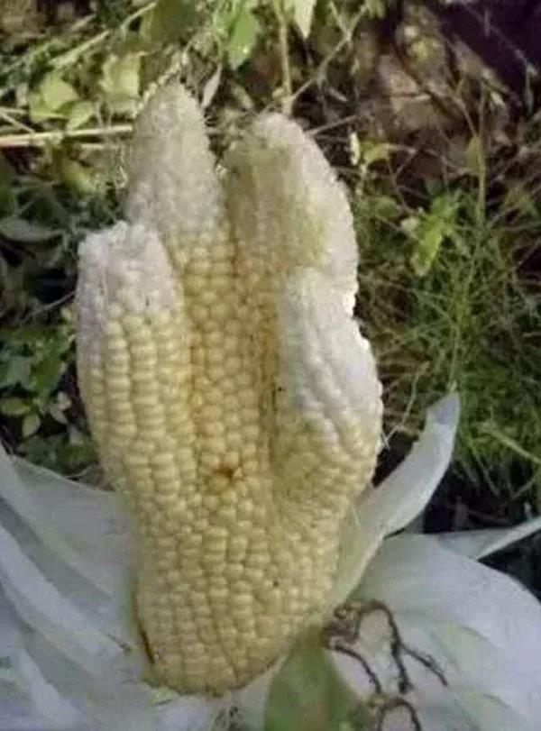 1564888474.jpg 微信图片_20190804111312.jpg