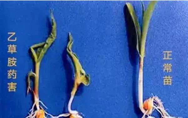 1590737312.jpg 微信图片_20200529152511.jpg