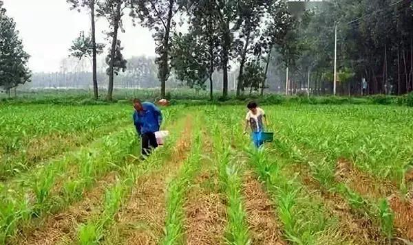 1595581764.jpg 微信图片_20200724170752.jpg