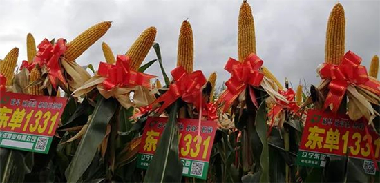 1616303301.jpg 微信图片_20210321130409.jpg