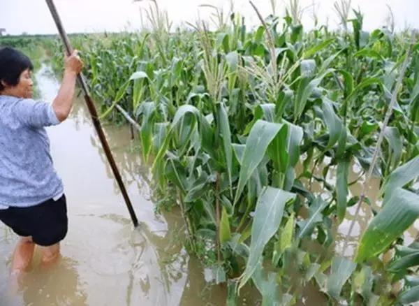 1625042036.jpg 微信图片_20210630163322.jpg