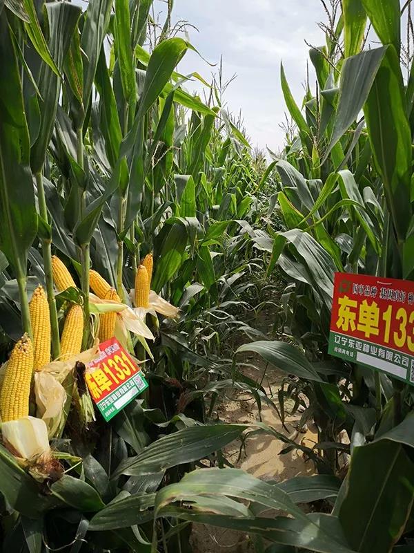 1629956211.jpg 微信图片_20210826133335.jpg