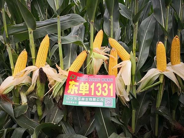 1629956223.jpg 微信图片_20210826133347.jpg