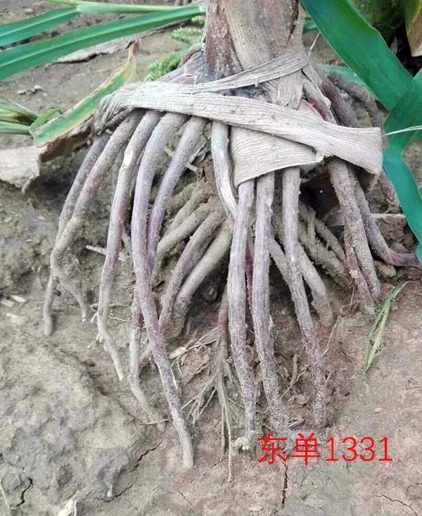 1629956232.jpg 微信图片_20210826133352.jpg