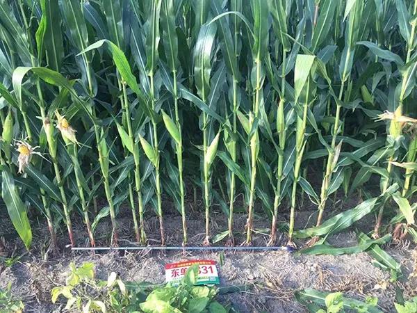 1629956244.jpg 微信图片_20210826133358.jpg