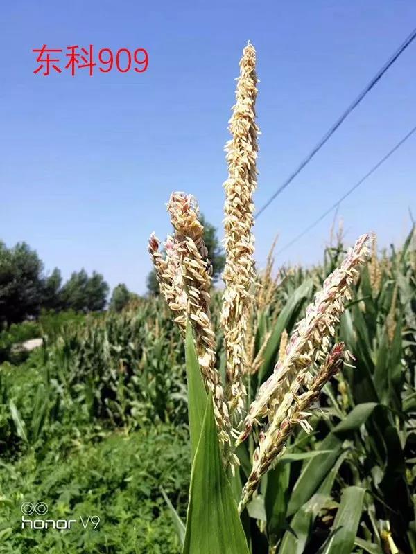 1629956304.jpg 微信图片_20210826133407.jpg