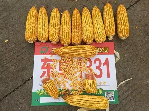 1629956317.jpg 微信图片_20210826133412.jpg