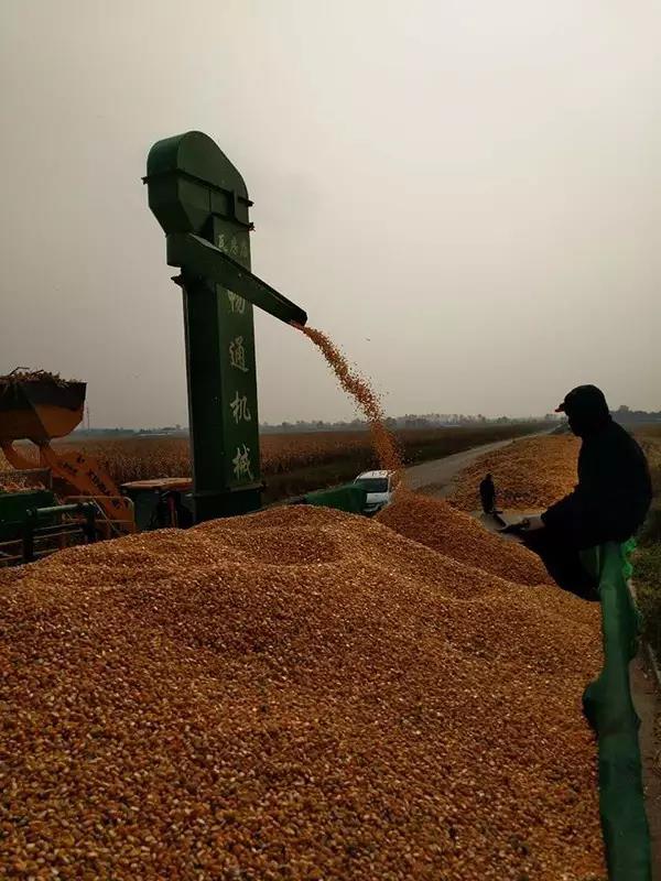 1629956335.jpg 微信图片_20210826133418.jpg