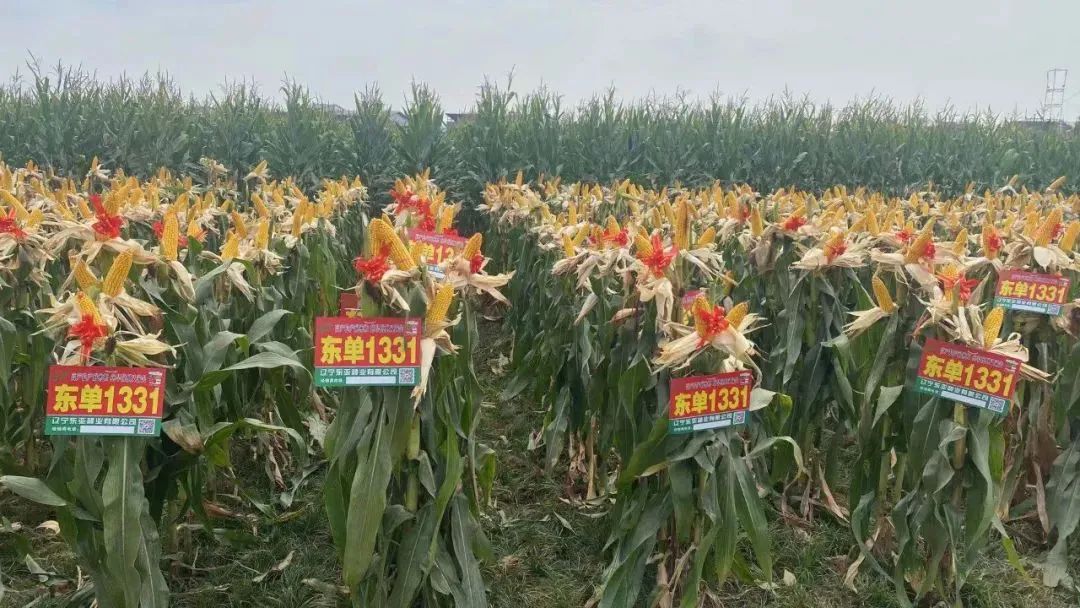 1665475781.jpg 1665475781.jpg