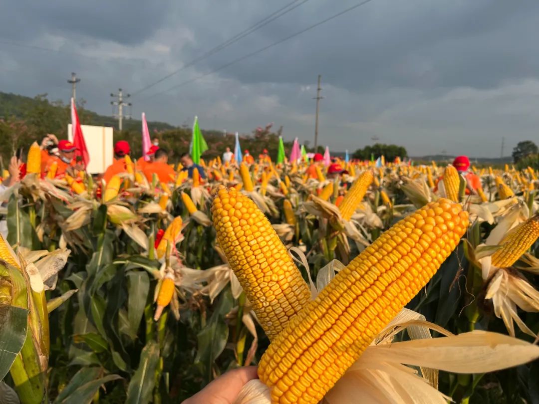 1665475814.jpg 1665475814.jpg