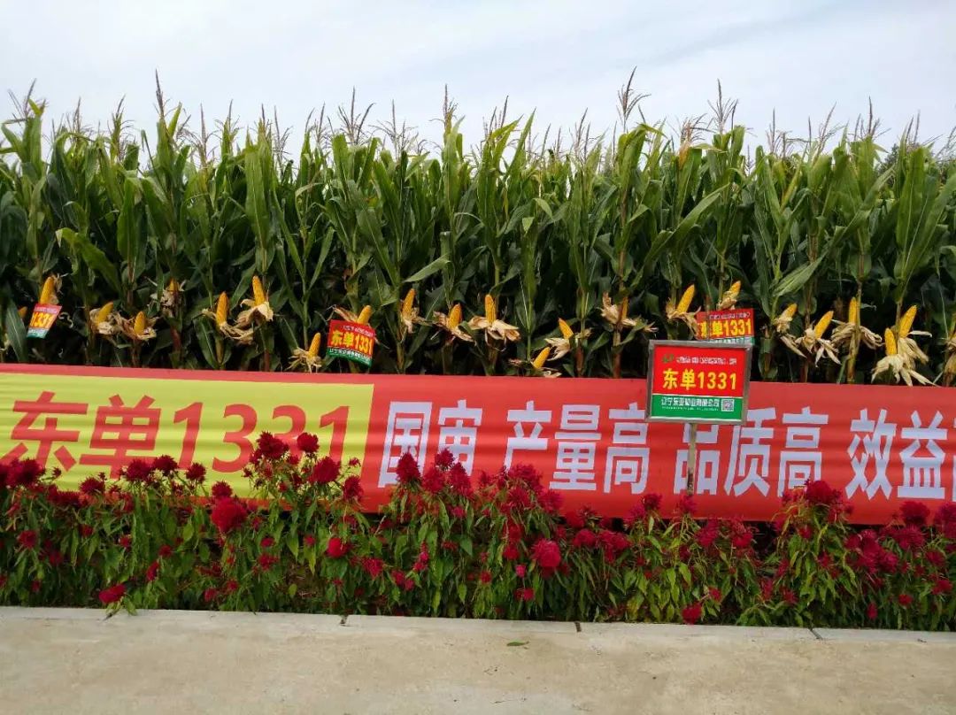 1678413927.jpg 1678413927.jpg