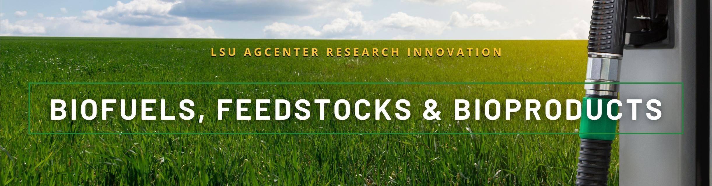 biofuels.jpg thumbnail