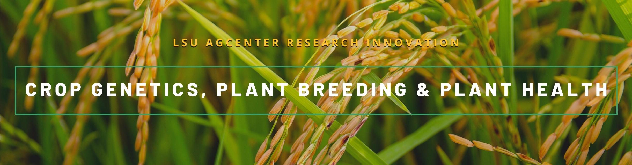 Crop Genetics.jpg thumbnail