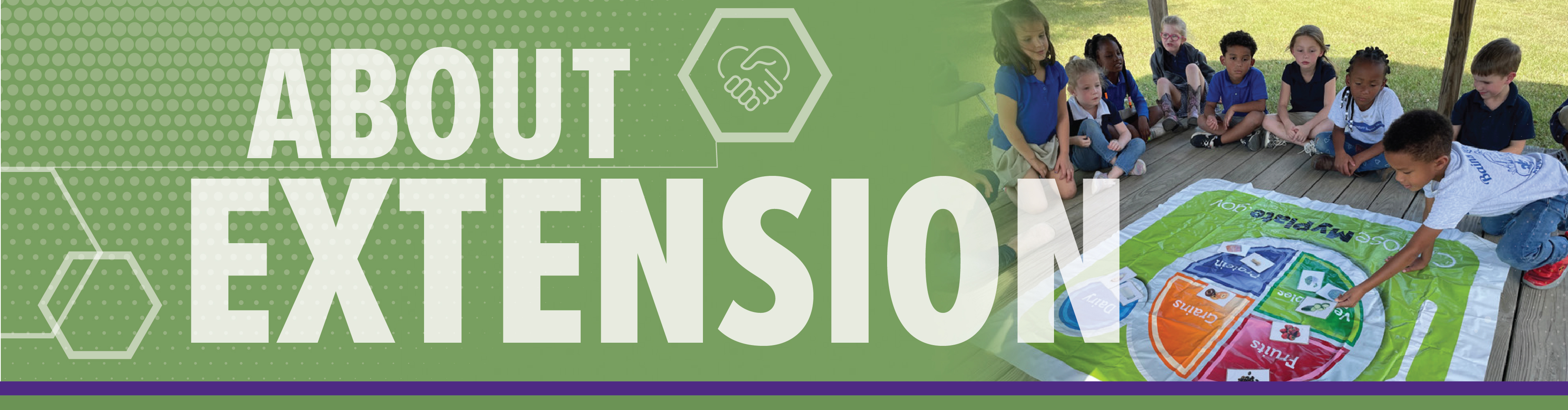 About Extension banner.