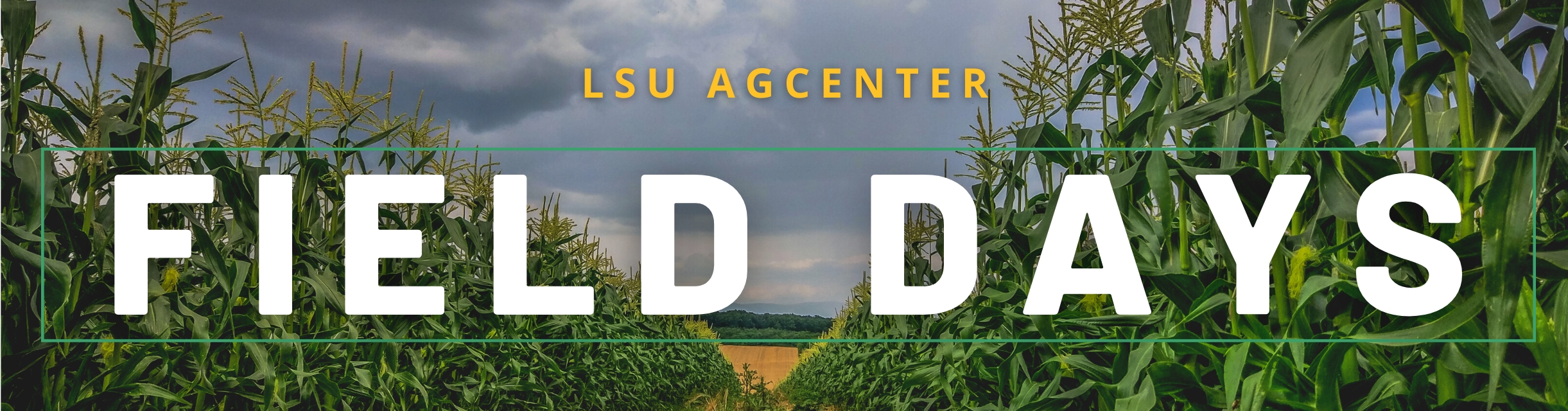 fielddaysbanner.jpg thumbnail