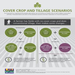 Cover Crop and Tillage Scenarios