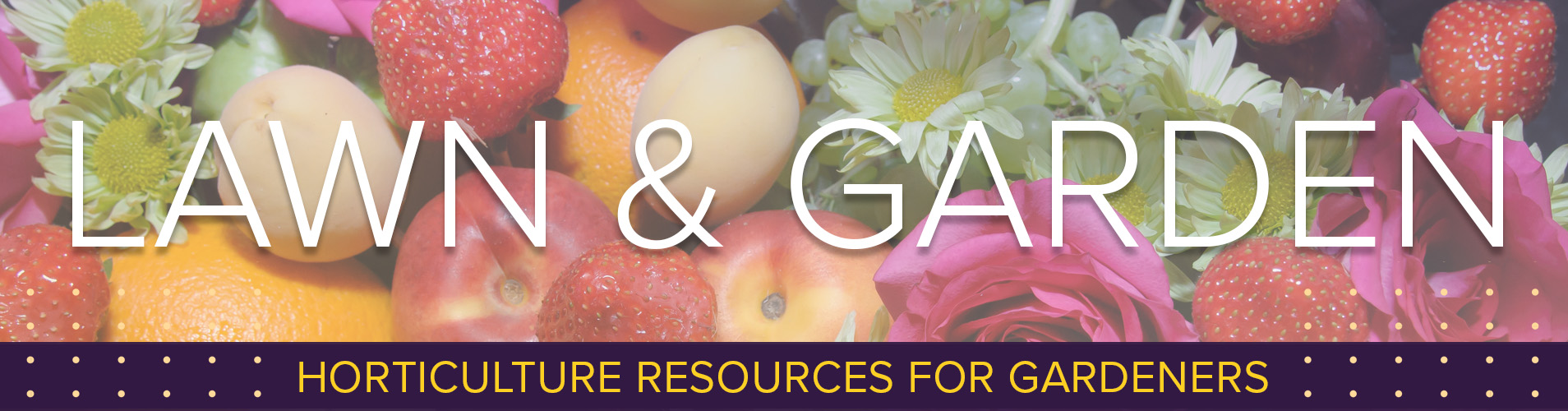 Lawn and Garden web banner.