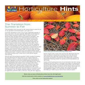 Horticulture Hints for Northeast Louisiana - Fall 2022