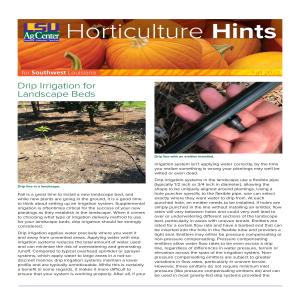 Horticulture Hints for Southwest Louisiana - Fall 2022