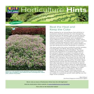 Horticulture Hints for Northwest Louisiana - Summer 2022