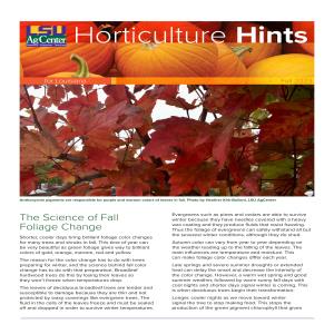 Horticulture Hints for Louisiana - Fall 2023