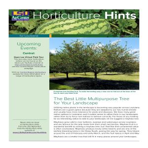 Horticulture Hints for Louisiana - Summer 2023