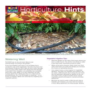 Horticulture Hints for Louisiana - Winter 2023