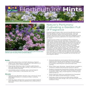 Horticulture Hints for Louisiana - Spring 2024