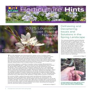 Horticulture Hints for Louisiana - Spring 2025