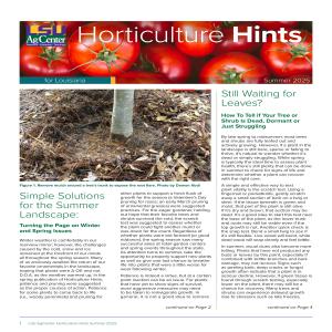 Horticulture Hints for Louisiana - Summer 2025