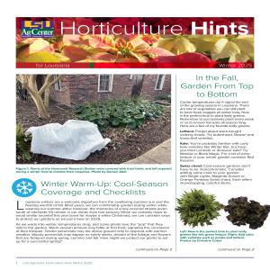 Horticulture Hints for Louisiana - Winter 2025