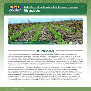 2024 Cover Crop Seeding Rate Recommendations - Grasses