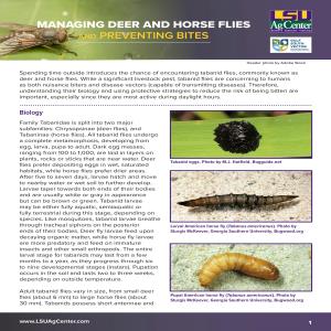 Managing Deer and Horse Flies and Preventing Bites