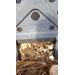 Roots, Shoots, Fruits & Flowers: Composting Problem, Freeze-Damaged Plants, Cold Hardiness Zone & Pantry Pests