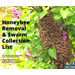 Beehive Buzz: Honeybee Removal & Swarm Collection List 