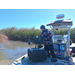 LSU AgCenter researchers report progress in roseau cane restoration 