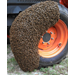 Beehive Buzz: Good News about Honeybees