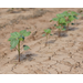 AgCenter-led team receives grant to help farmers irrigate efficiently