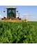 Agricultural Economics and Agribusiness