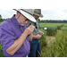 Wheat, oat, cover crop field day to be held April 16
