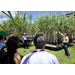 Artificial intelligence, sustainable production take center stage at multistate meeting 