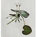 Common aquatic weeds in Louisiana