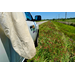 Insect Pest Survey in Several Louisiana Parishes