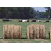 LSU AgCenter opens registration for fall Grazing School 
