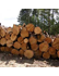 Forestry
